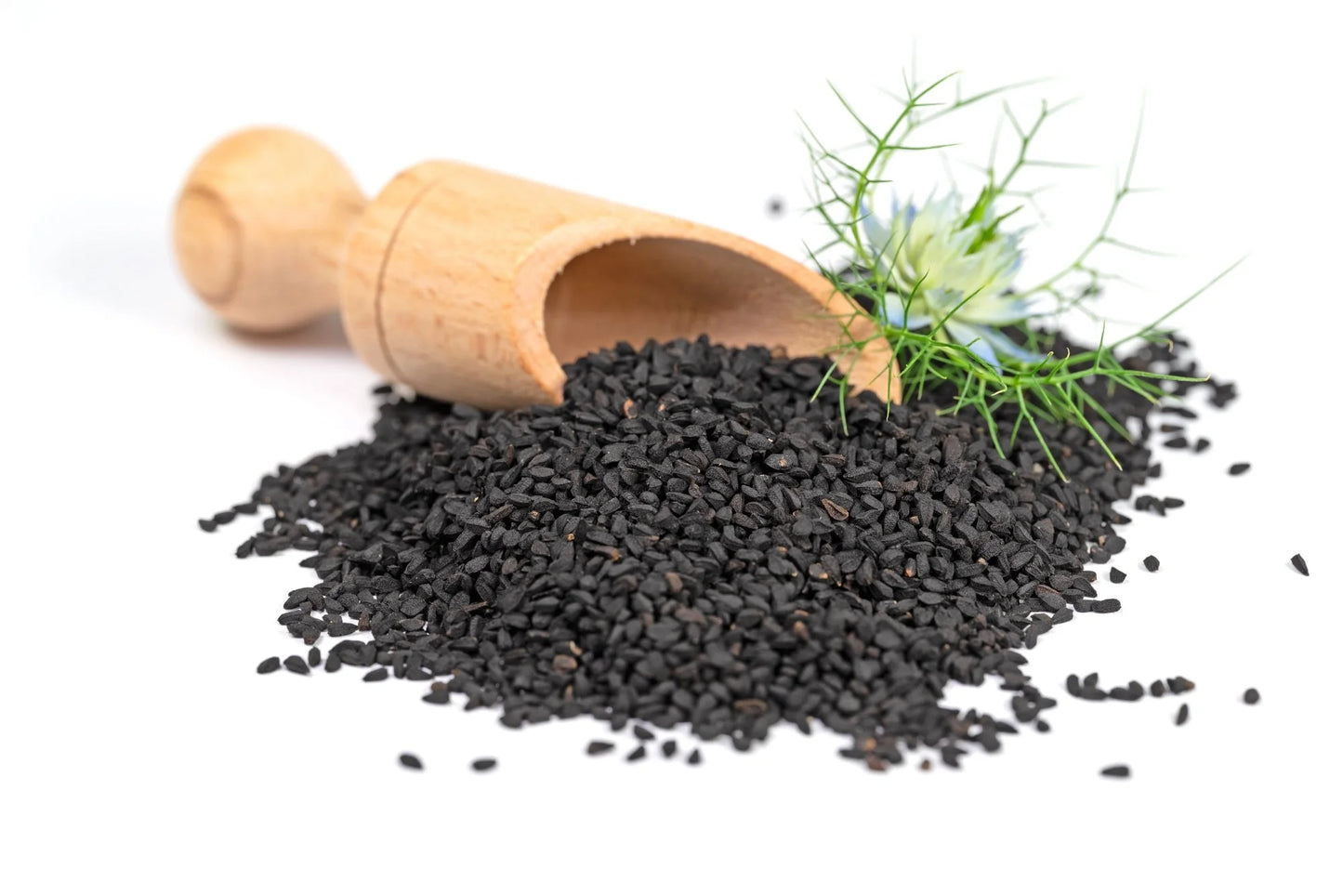 Organic Blackseed, Flaxseed & Charcoal Soap
